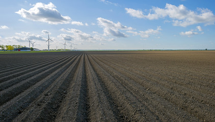 Plowed field with furrows in spring