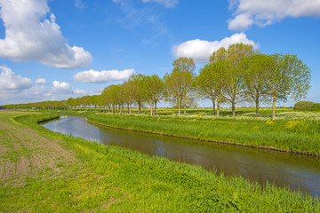Canal meandering through the countryside in spring