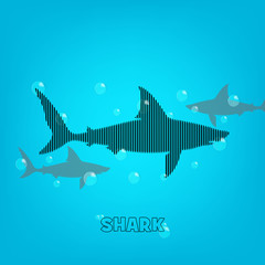 Shark background