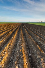 Plowed field landscape