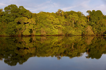 Sunset on the Rio Negro in the Amazon River basin, Brazil