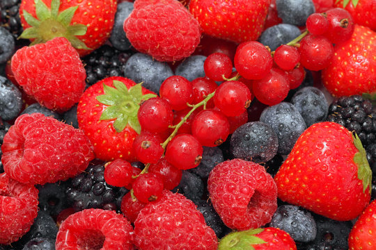 Close-up view on pile of different berries with water drops