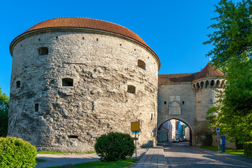 Fat Margaret tower. Tallinn, Estonia