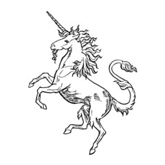 Unicorn salient