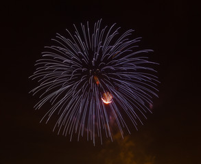 Evening fireworks in sky in honor of celebration of Victory Day