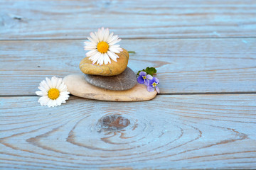 Obraz na płótnie Canvas Zen stones on a old wooden background with daisies