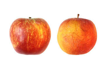 Rotten and fresh apple on white isolated background