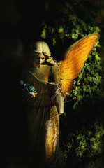 angel