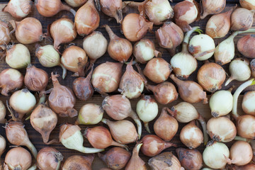 small onions on a wooden background