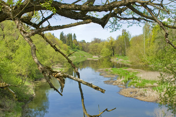 Nature landscape