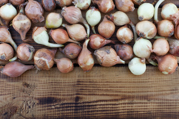 small onions on a wooden background