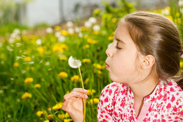 Outdoor portrait of cute little girl on the meadow