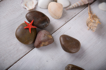 Fresh and pure seaside concept