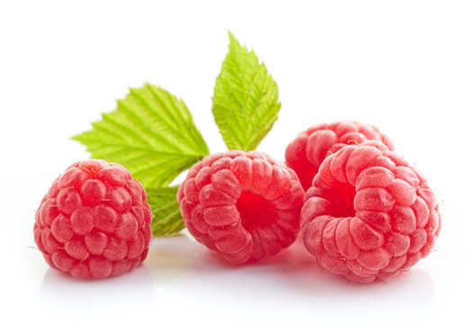 fresh organic raspberries