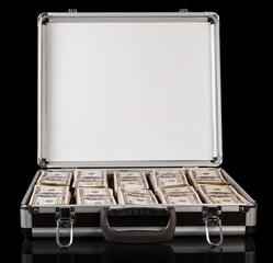 Silver case with money