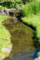 Stream at garden