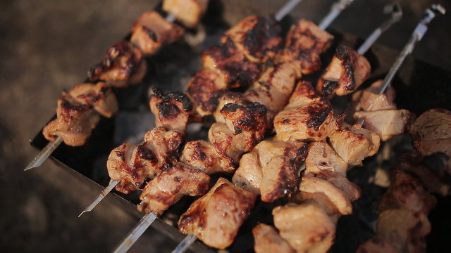 cooking barbecue on nature