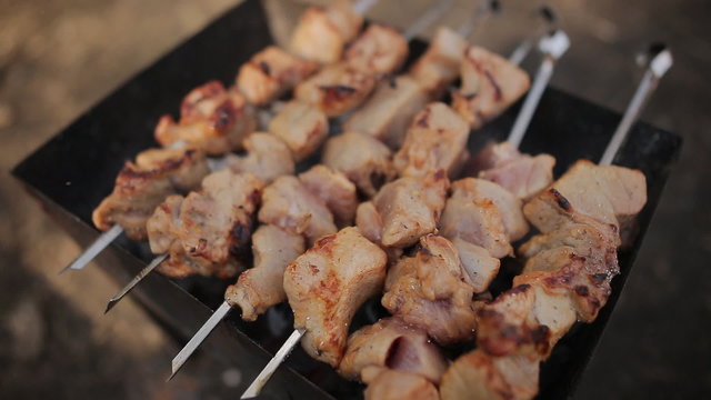 shish kebabs on the grill in the forest