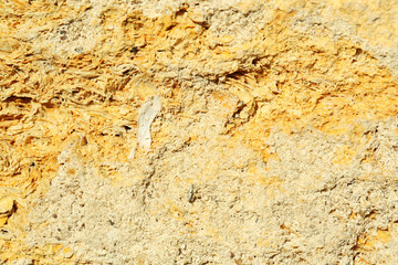 Cement textured wall background