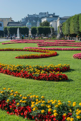 Fototapeta na wymiar Mirabell Garden (Mirabellgarten) in Salzburg, Austria