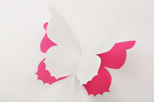 Cutout Paper Butterfly As Greeting Card