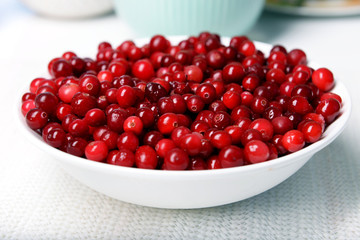 Cranberries in bowl on table close up