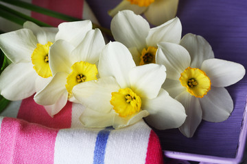 Fresh narcissus flowers on striped napkin, closeup