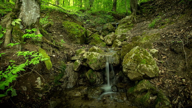 Waterfall rill lash down. Green forest tree. Nature background