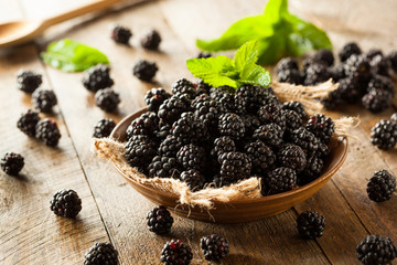 Fresh Raw Organic Blackberries