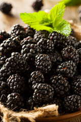 Fresh Raw Organic Blackberries