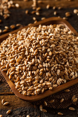 Raw Organic Spelt Grain