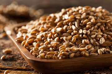 Raw Organic Spelt Grain