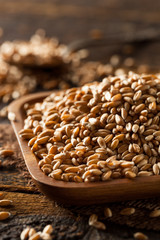 Raw Organic Spelt Grain