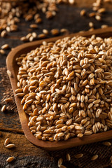 Raw Organic Spelt Grain