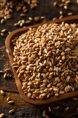 Raw Organic Spelt Grain