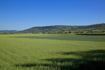 Fototapeta na wymiar ヴァッハウ渓谷の田園風景