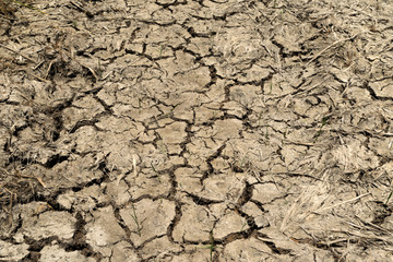Dry cracked soil no rain.