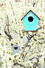Decorative nesting boxes on bright background