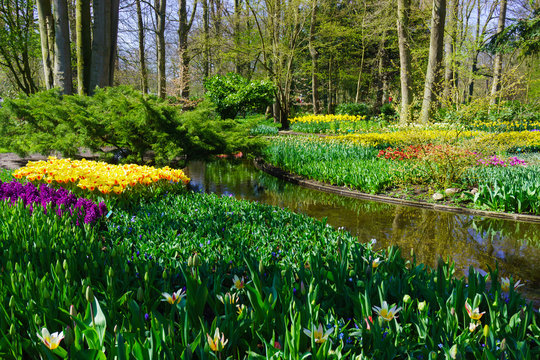 Beautiful garden.  Park in The Spring. Spring landscape.