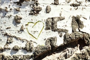 Heart carved in tree close-up