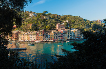 Portifino Behind the Bushes