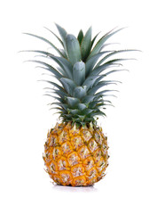 Fototapeta premium pineapple on white background