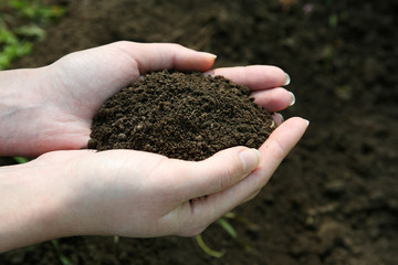 Handful of black soil above ground