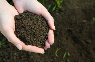 Handful of black soil above ground