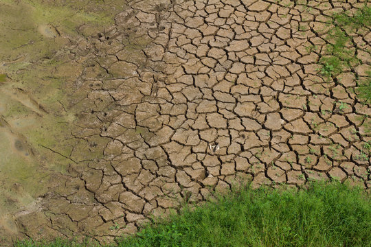 Cracked earth with grass