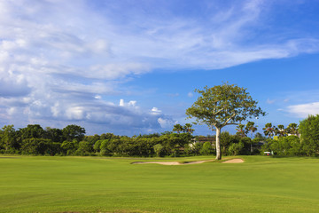 Fototapeta na wymiar Beautiful View of Green Golf Field