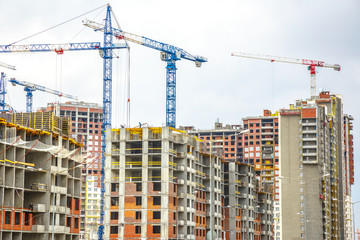 Many tall buildings and cranes