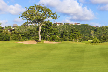 Beautiful View of Green Golf Field