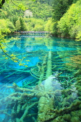 Jiuzhaigou National Park