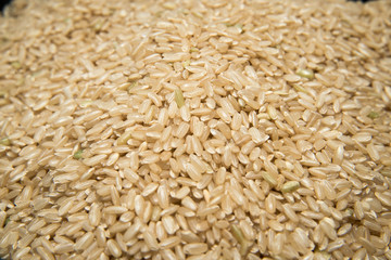 whole grain japanese rice 